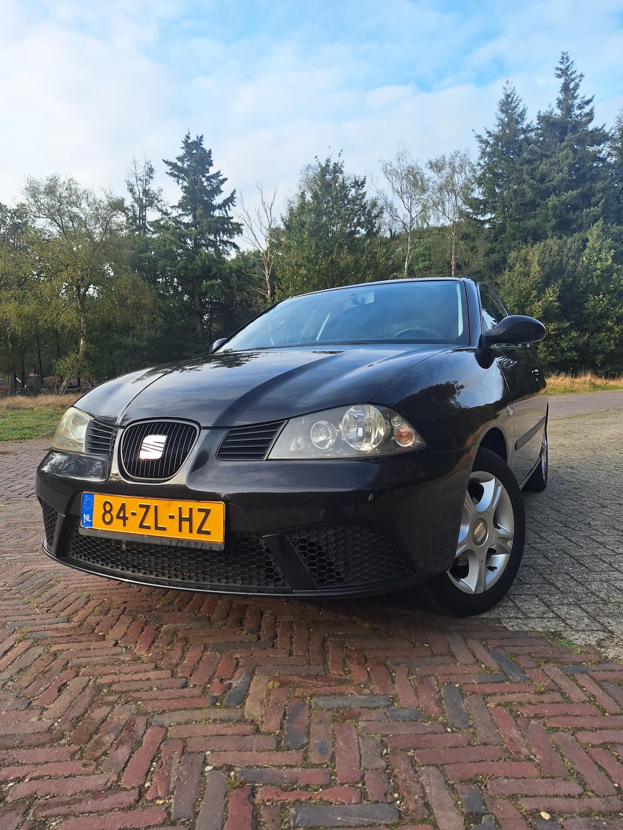 Seat Ibiza - 1.4-16V 25 Edition I - AutoWereld.nl