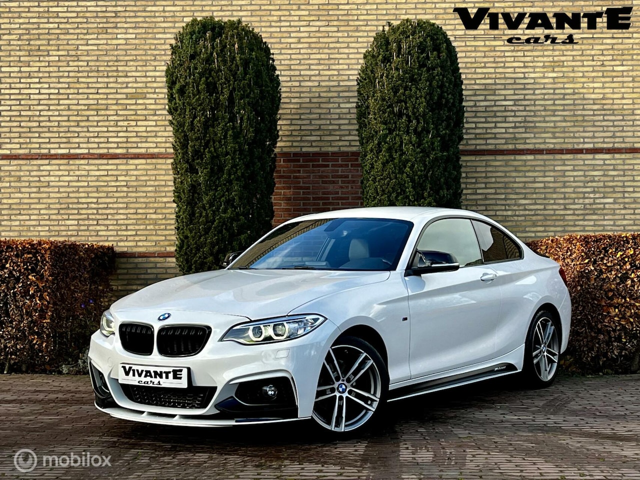 BMW 2-serie Coupé - 218d M Sport 218d M Sport, Leder | Cruise | Navi | PDC - AutoWereld.nl