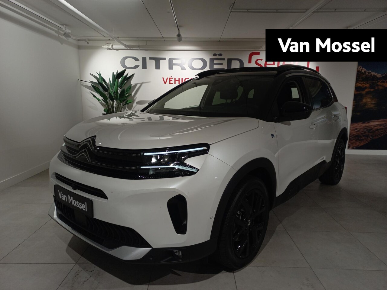 Citroën C5 Aircross - 1.6 Plug-in Hybrid ë-Series 1.6 Plug-in Hybrid ë-Series - AutoWereld.nl