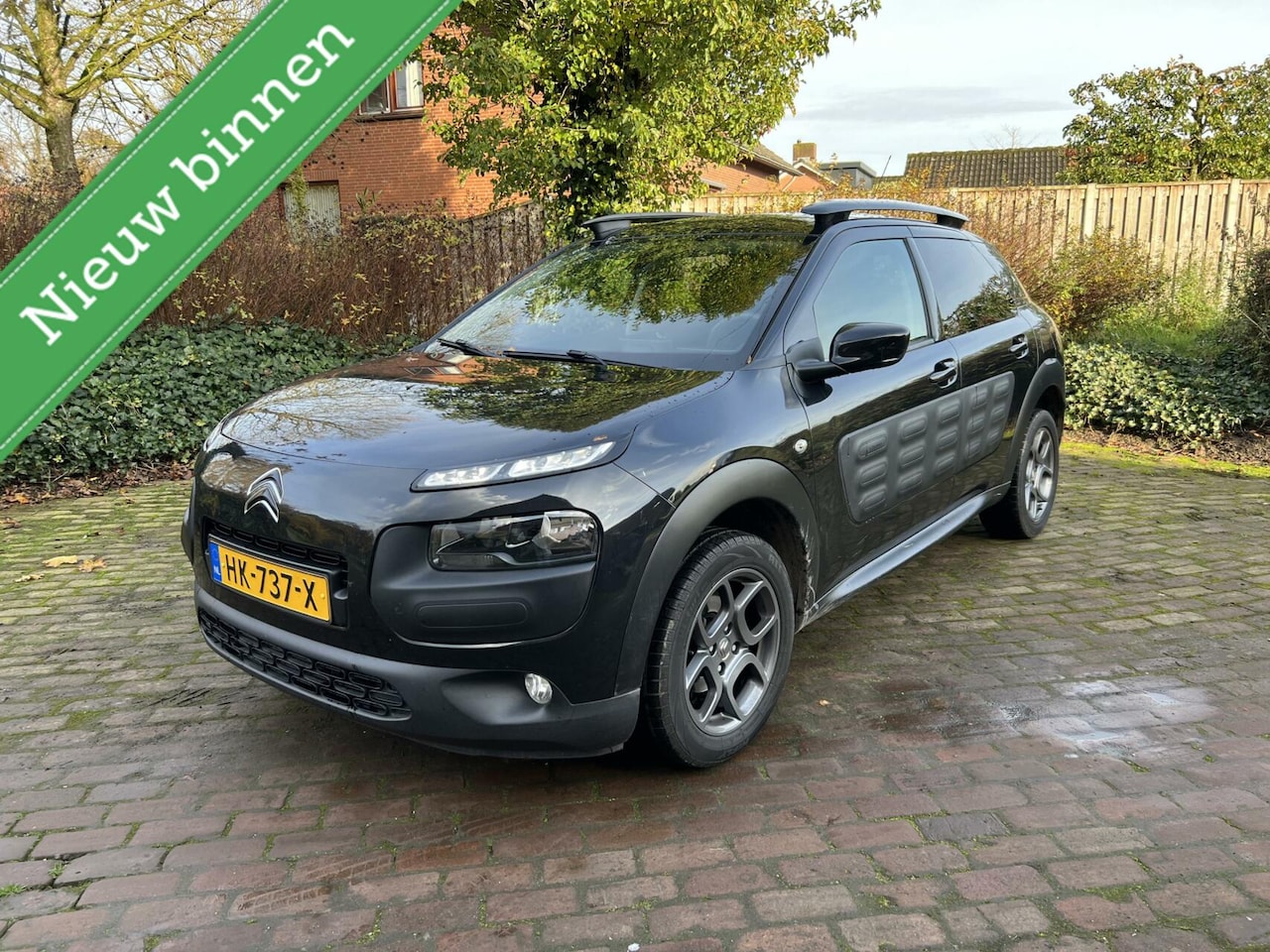 Citroën C4 Cactus - 1.2 PureTech Business Plus Pano| Camera| Navi+BT - AutoWereld.nl