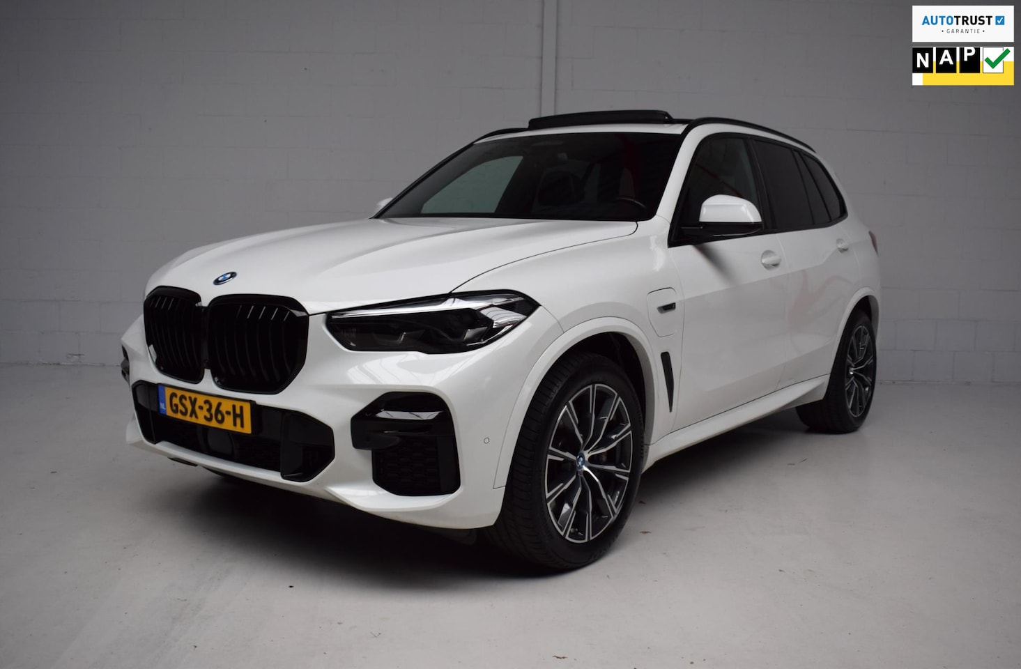 BMW X5 - XDrive45e M-SPORT PANORAMADAK / LED / LEER / CAMERA / BTW / TREKHAAK / CARPLAY / ADAPT.CRU - AutoWereld.nl