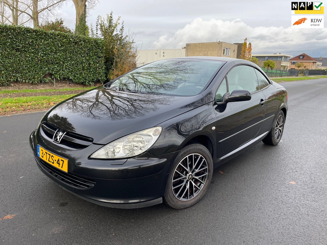 Peugeot 307 CC - 2.0-16V AUTOMAAT/CLIMA/VELGEN/APK - AutoWereld.nl