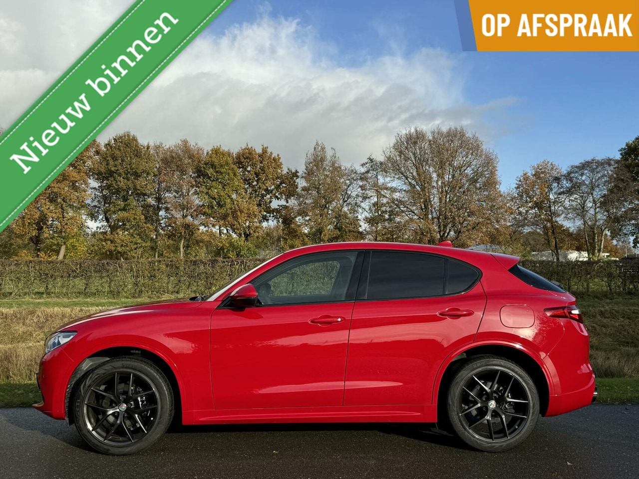 Alfa Romeo Stelvio - 2.0t Q4 Veloce 310pk, Avanti Style, 20" - AutoWereld.nl