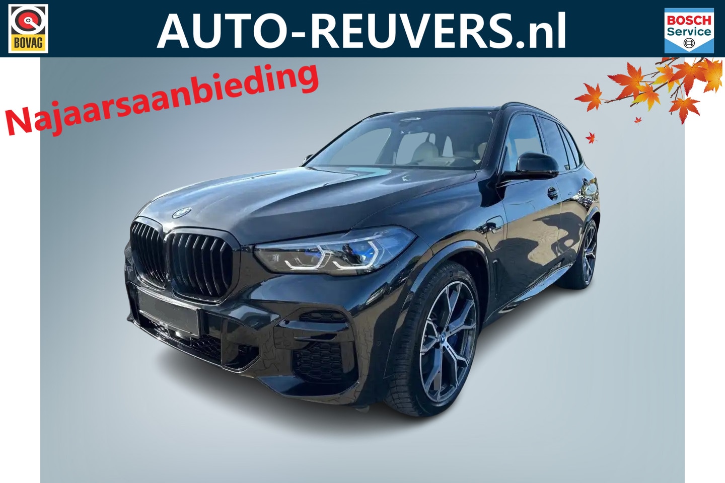 BMW X5 - xDrive45e M-Sport / Panorama / Opendak /  HUD / HarmanKardon / Pilot assist - AutoWereld.nl