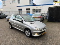 Peugeot 206 - 1.4-16V XS. *Pano dak