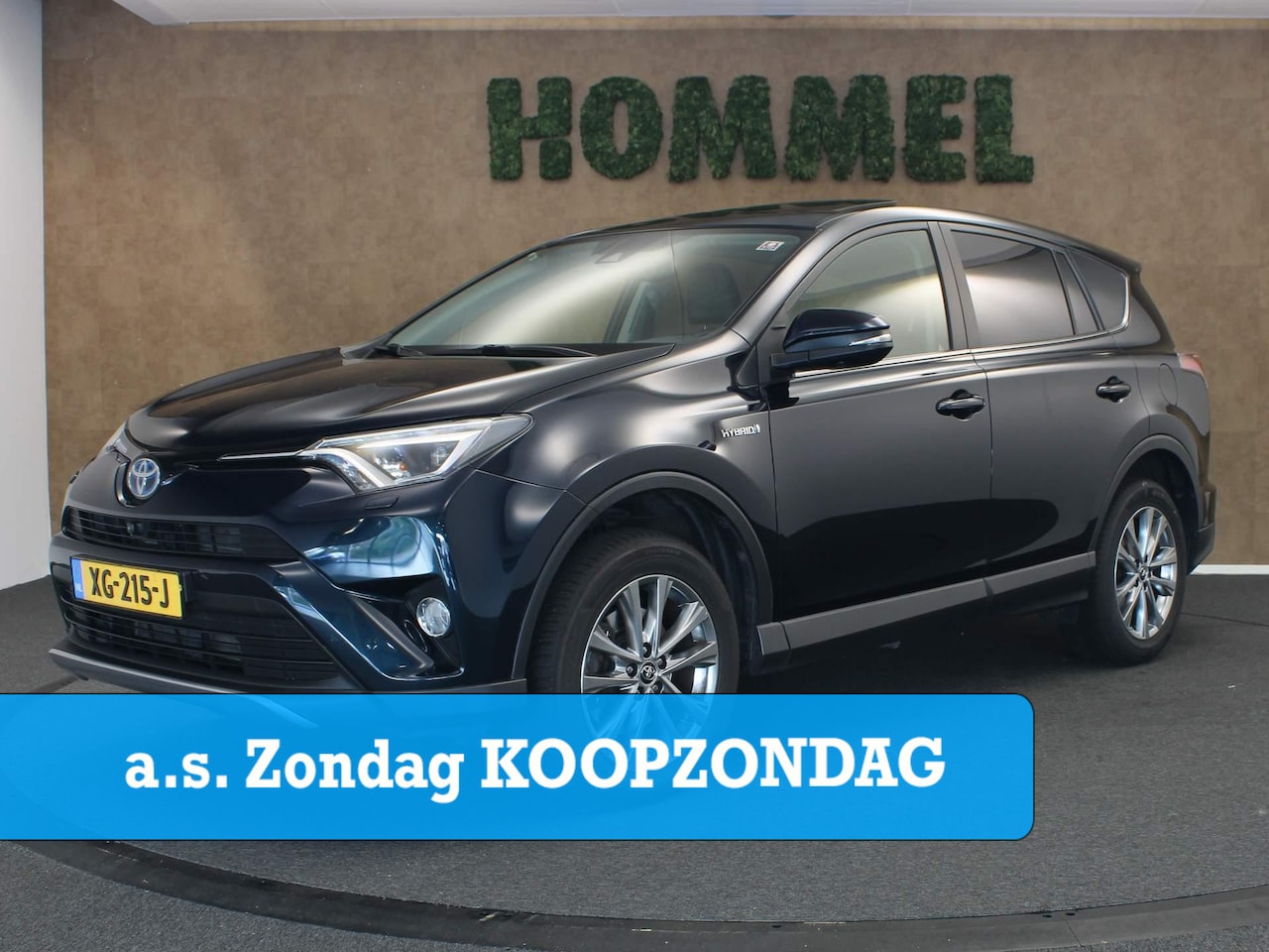 Toyota RAV4 - 2.5 Hybrid AWD Executive - VASTE TREKHAAK - 1650KG TREKGEWICHT - ALARM KLASSE 3 - LEDEREN - AutoWereld.nl