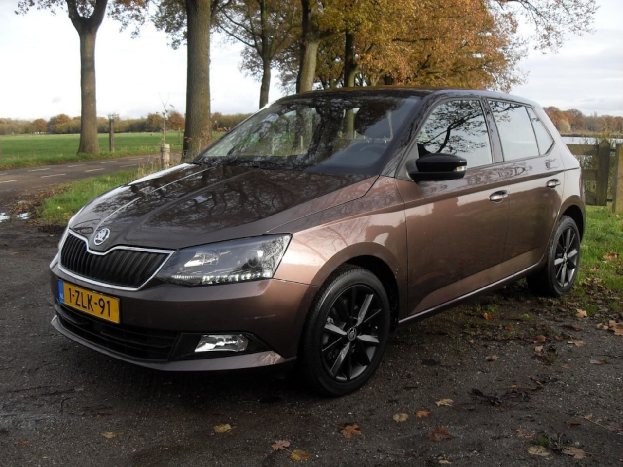 Skoda Fabia - 1.2 TSI Sprint Pro. Automaat! - AutoWereld.nl