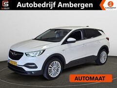 Opel Grandland X - 1.2 Turbo (130Pk) Business Edition Winterpakket Géén Afleverkost