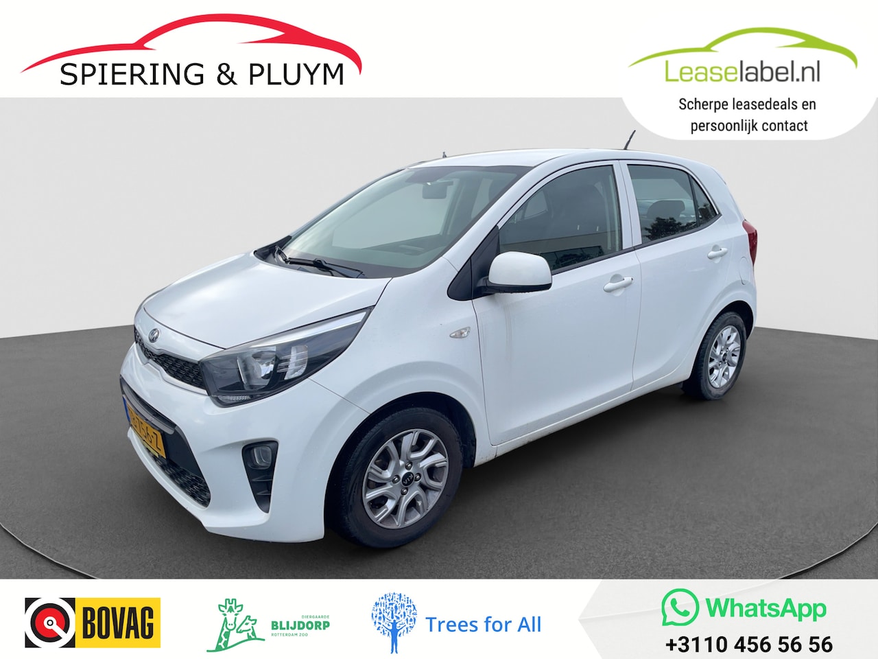 Kia Picanto - 1.0 CVVT EconomyPlusLine | Airco | 1e eigenaar | Dealeronderhouden - AutoWereld.nl