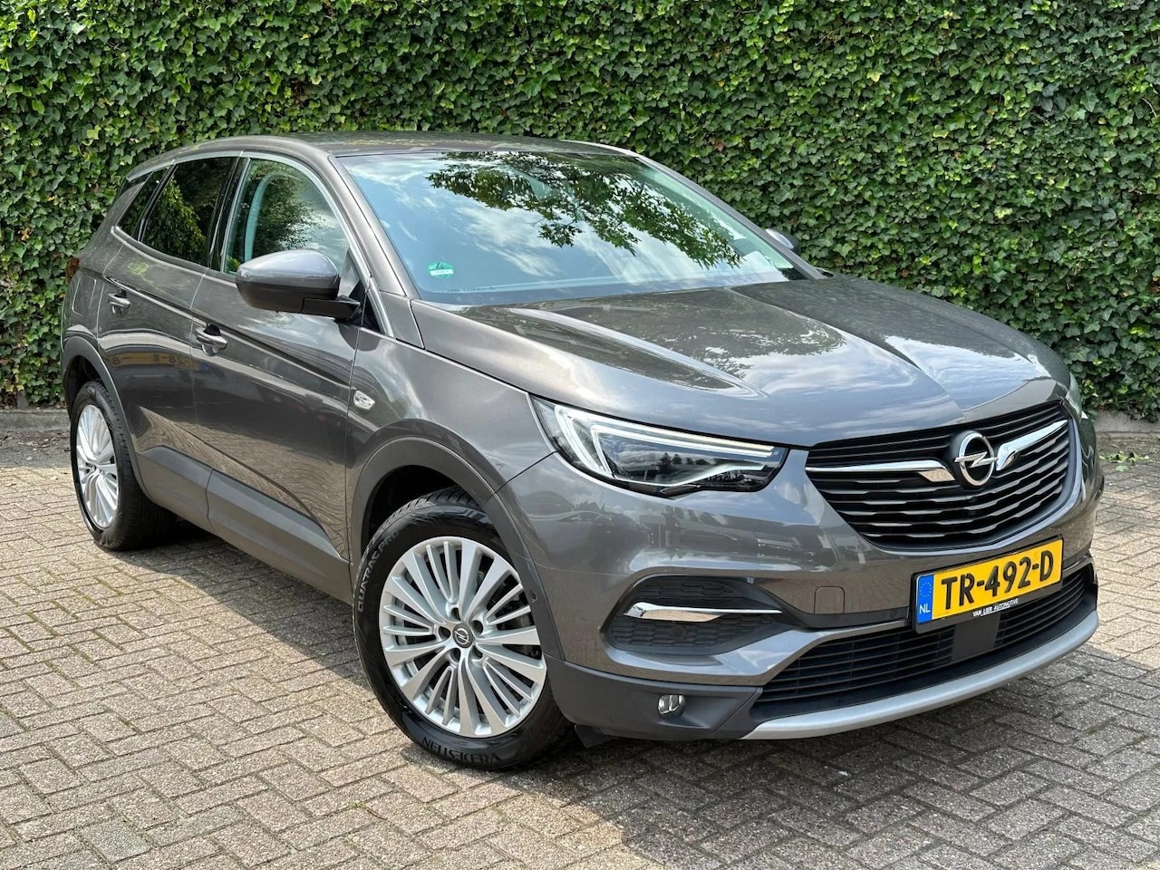 Opel Grandland X - 1.2 Turbo Business Executive 1.2 Turbo Business Executive - AutoWereld.nl