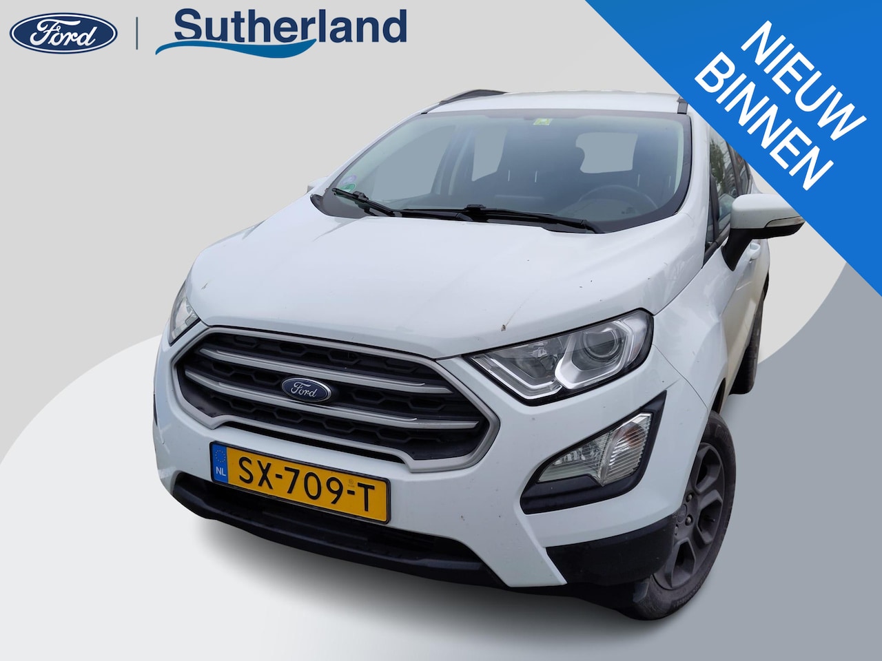 Ford EcoSport - 1.0 EcoBoost 125 PK Trend Ultimate | Navigatie | Trekhaak | DAB | Parkeersensor achter - AutoWereld.nl