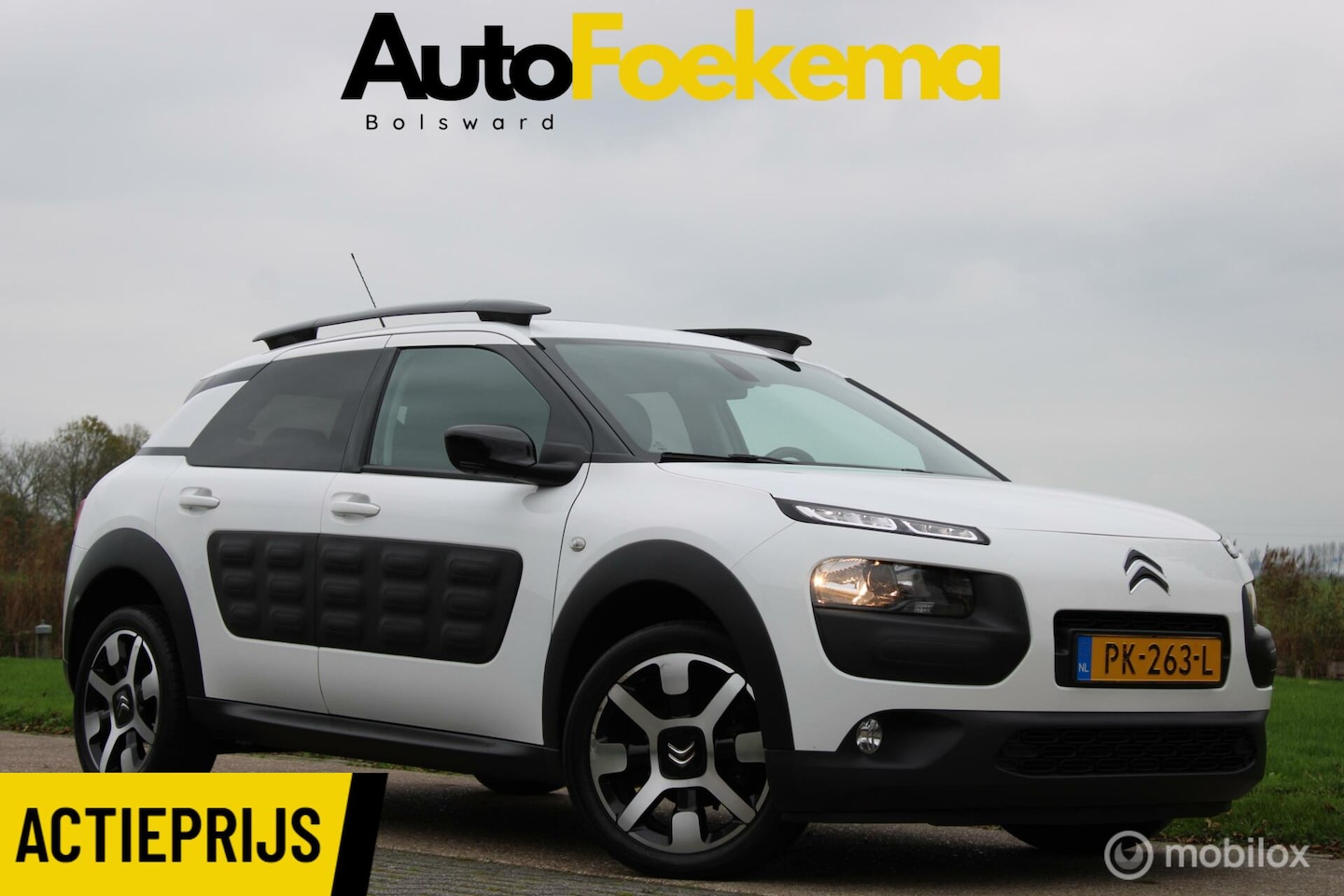 Citroën C4 Cactus - 1.2 PureTech Shine NAVIGATIE CAMERA PANODAK - AutoWereld.nl