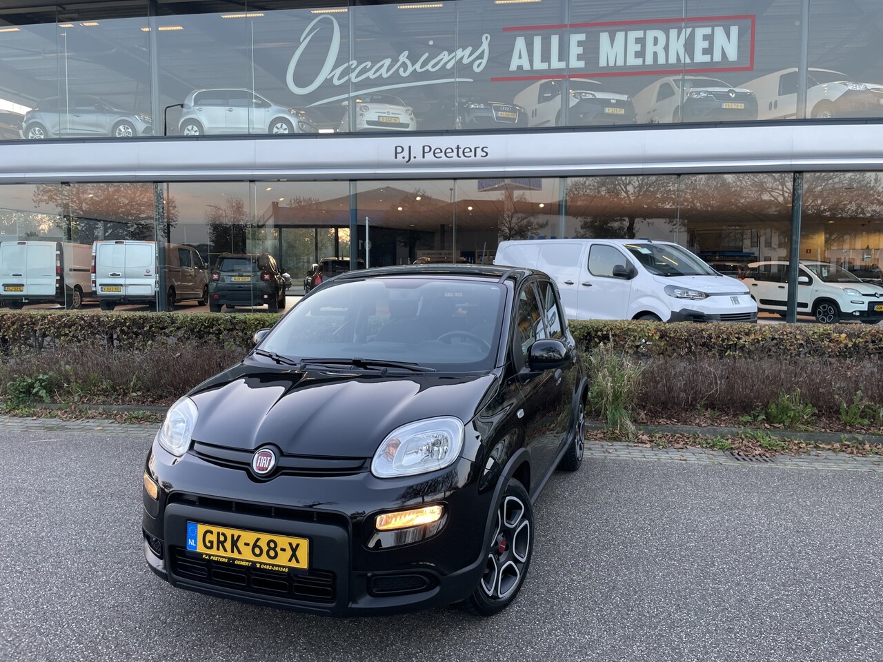 Fiat Panda - 1.0 Hybrid Airco / 5 deurs / 5 zitplaatsen / flex pakket - AutoWereld.nl