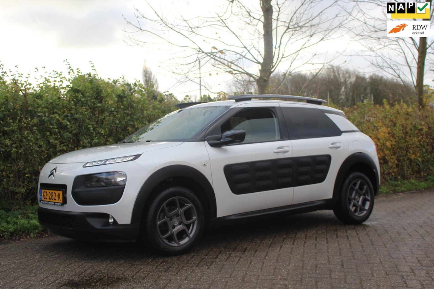 Citroën C4 Cactus - 1.2 PureTech Shine *Pano *Navi *Camera - AutoWereld.nl