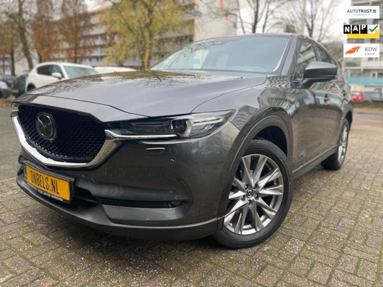 Mazda CX-5 - 2.0 4WD SkyActiv-G 165 Luxury Leer/Opendak - AutoWereld.nl