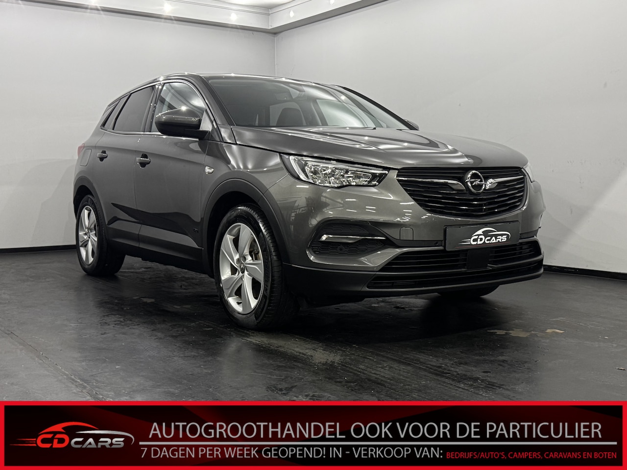 Opel Grandland X - 1.6 Turbo Hybrid Phev Business Elegance Half leder, Navi, Camera, Keyless start, Stoelverw - AutoWereld.nl