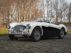 Austin Healey - 100/4 Le Mans