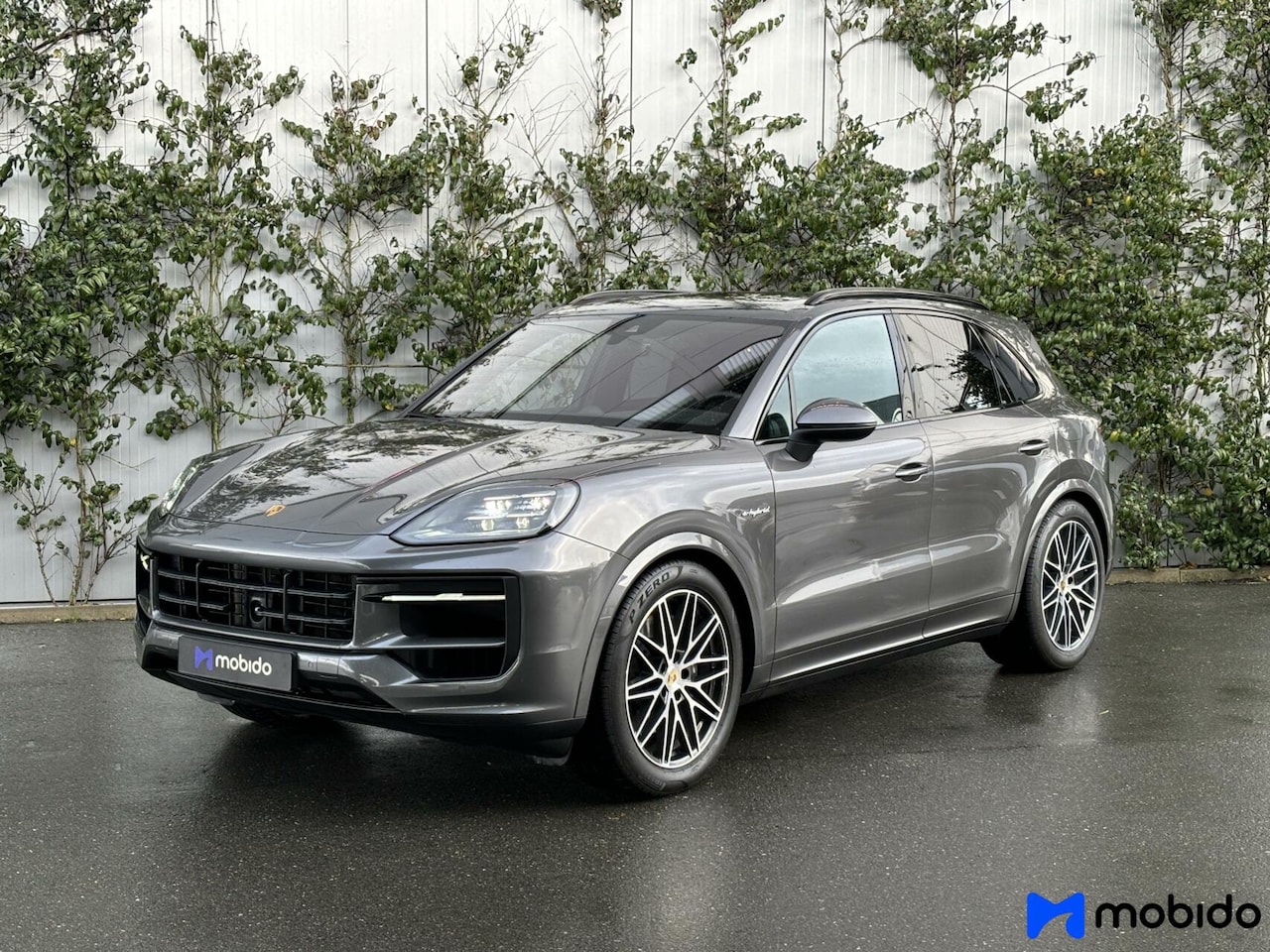 Porsche Cayenne - 3.0 E-Hybrid 3.0 E-Hybrid - AutoWereld.nl