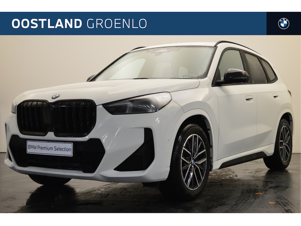 BMW X1 - sDrive20i High Executive M Sport Automaat / Trekhaak / Adaptief M Onderstel / Sportstoelen - AutoWereld.nl