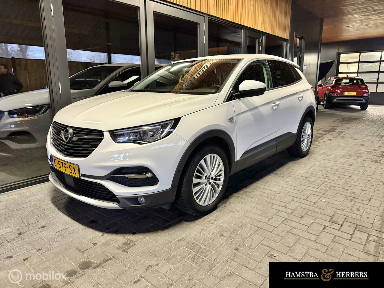 Opel Grandland X - 1.2 Turbo Business Edition wit - AutoWereld.nl