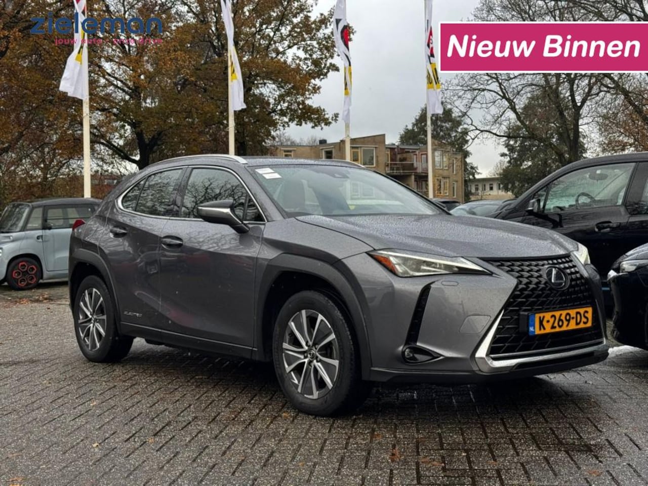 Lexus UX - 300e Business 54 kWh - Navi, Camera - AutoWereld.nl