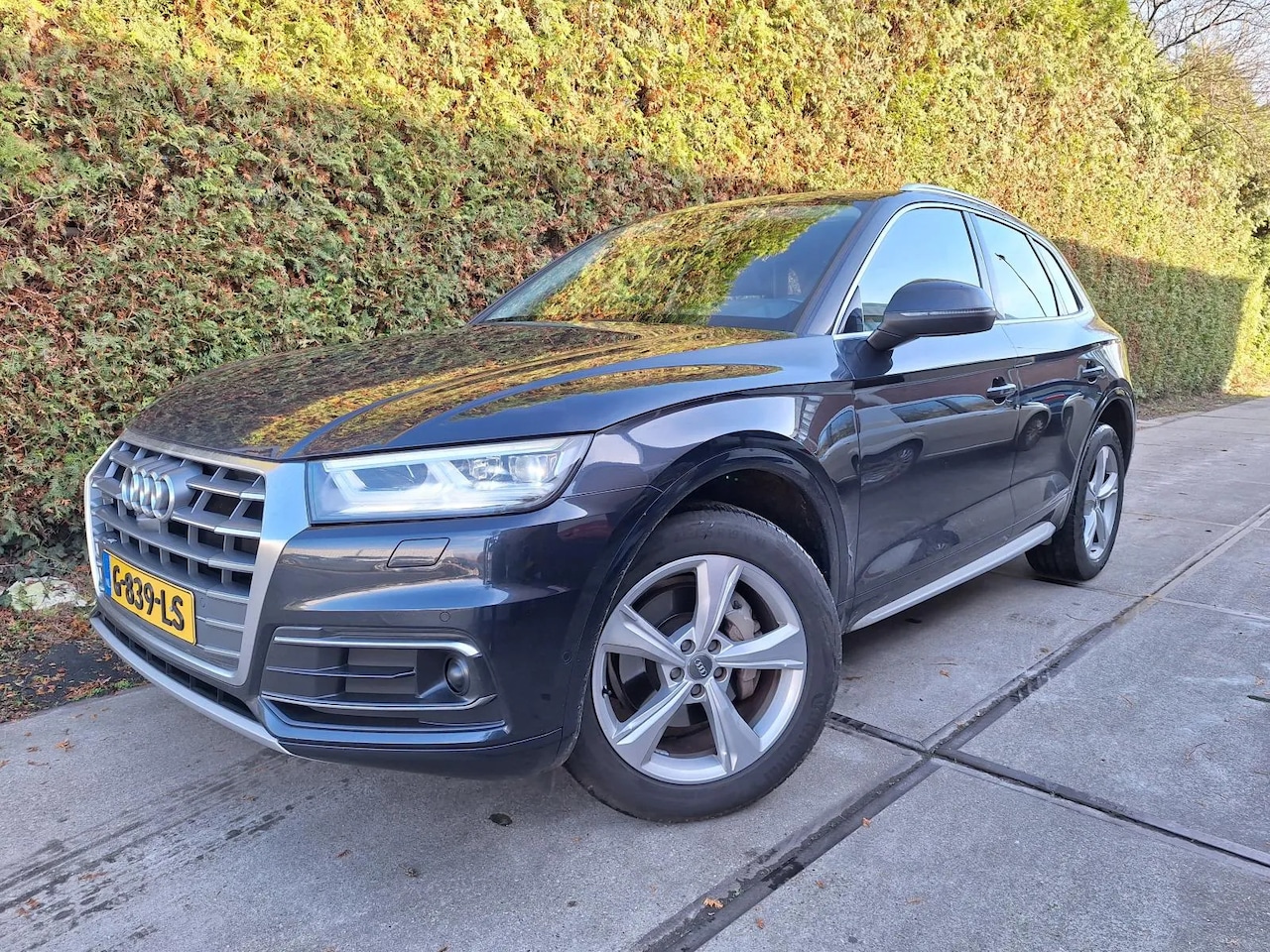 Audi Q5 - 35 TDI quattro Design Pro Line Plus 35 TDI quattro Design Pro Line Plus - AutoWereld.nl