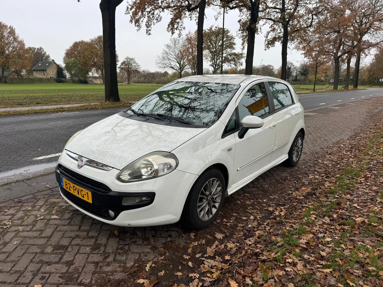 Fiat Punto Evo - 1.3 M-Jet Dynamic 1.3 M-Jet Dynamic - AutoWereld.nl