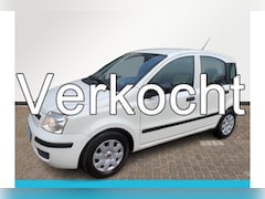 Fiat Panda - 1.2 Active, zeer nette auto