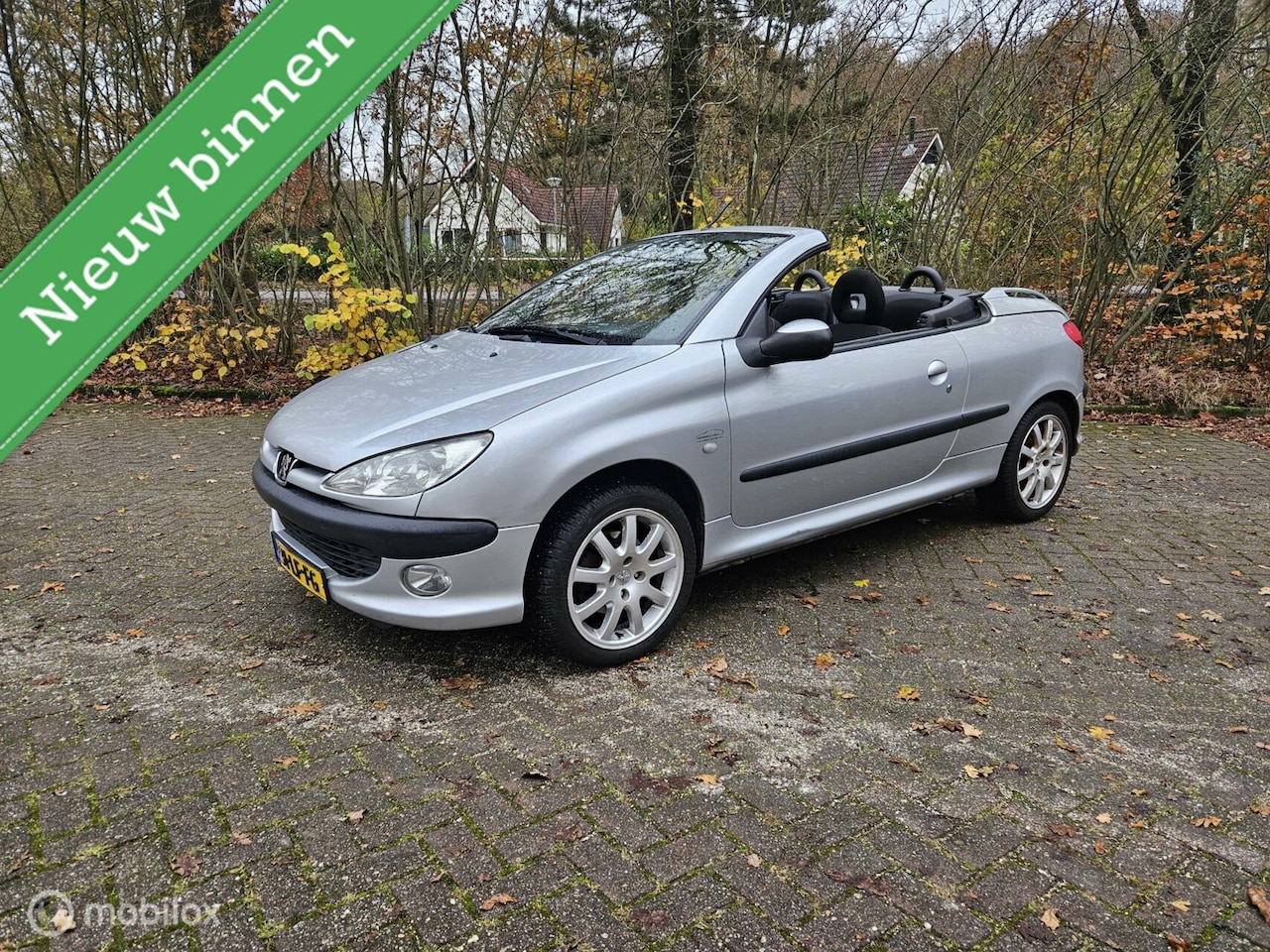 Peugeot 206 CC - 1.6-16V nette auto!!! - AutoWereld.nl