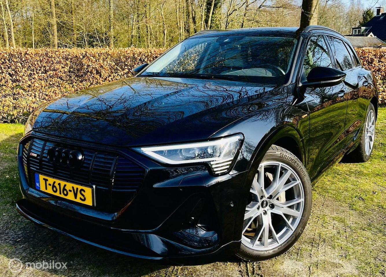 Audi e-tron - 50 quattro S Line Black edition 71 kWh 313pk - AutoWereld.nl