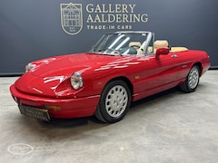 Alfa Romeo Spider - 2.0 Type 4 - ONLINE AUCTION