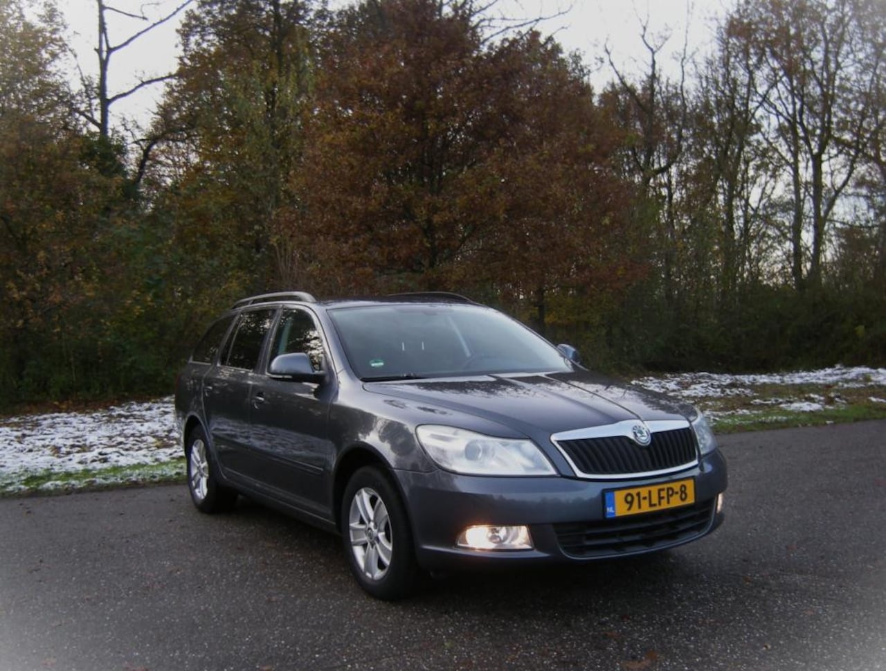 Skoda Octavia Combi - 1.4 TSI Ambition Business Line . Airco . Cruiscontrol . Navigatie . enz - AutoWereld.nl