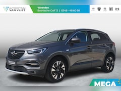 Opel Grandland X - 1.2 Turbo Business Elegance Keyless | 360° Camera