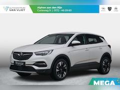 Opel Grandland X - 1.2 Turbo Business Executive Winterpakket | Adap. Cruise Control | Achteruitrijcamera | El