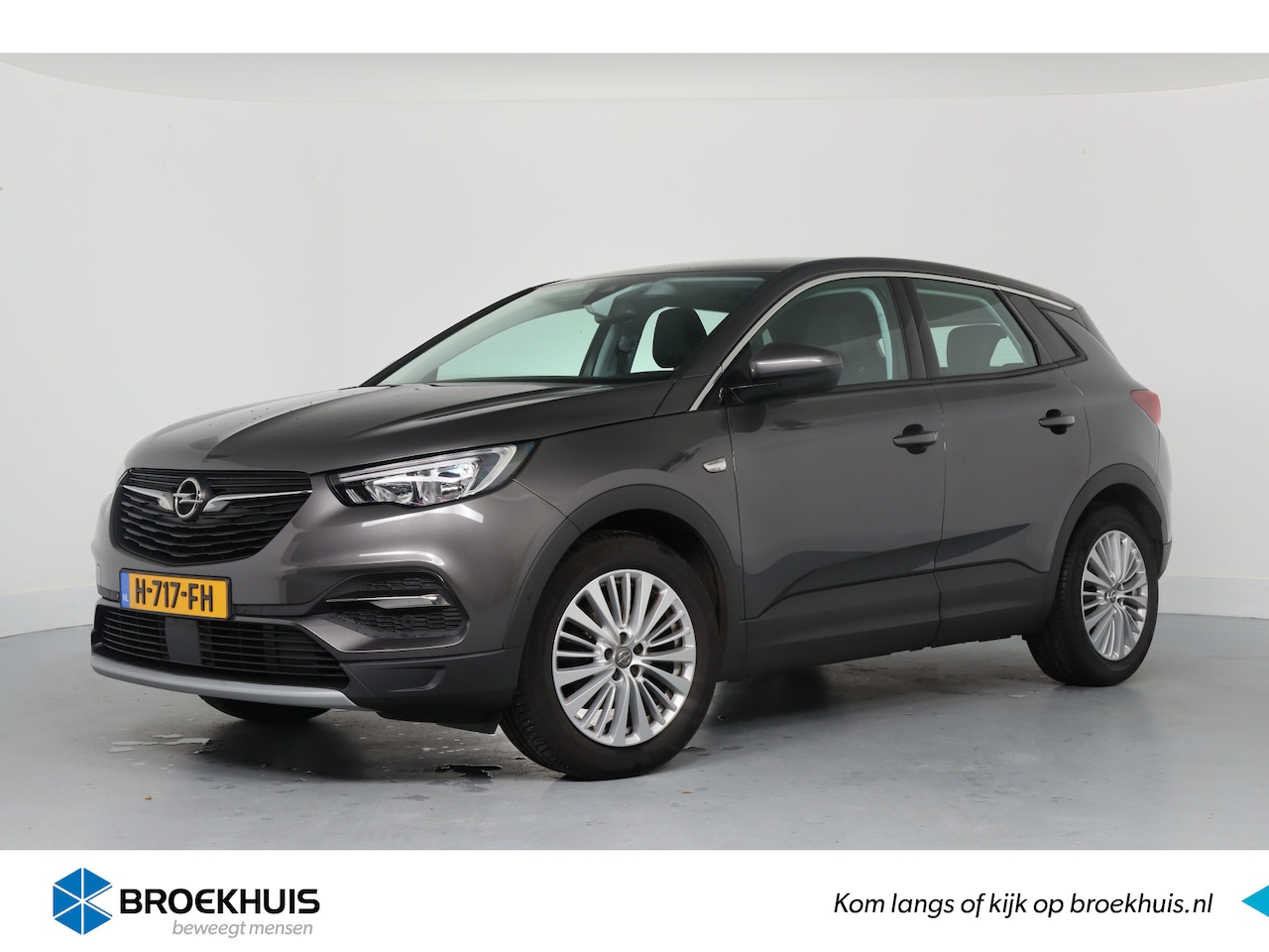 Opel Grandland X - 1.2 Turbo Business Executive | Dealer Onderhouden! | AGR | Trekhaak | Navi | Clima | Parke - AutoWereld.nl