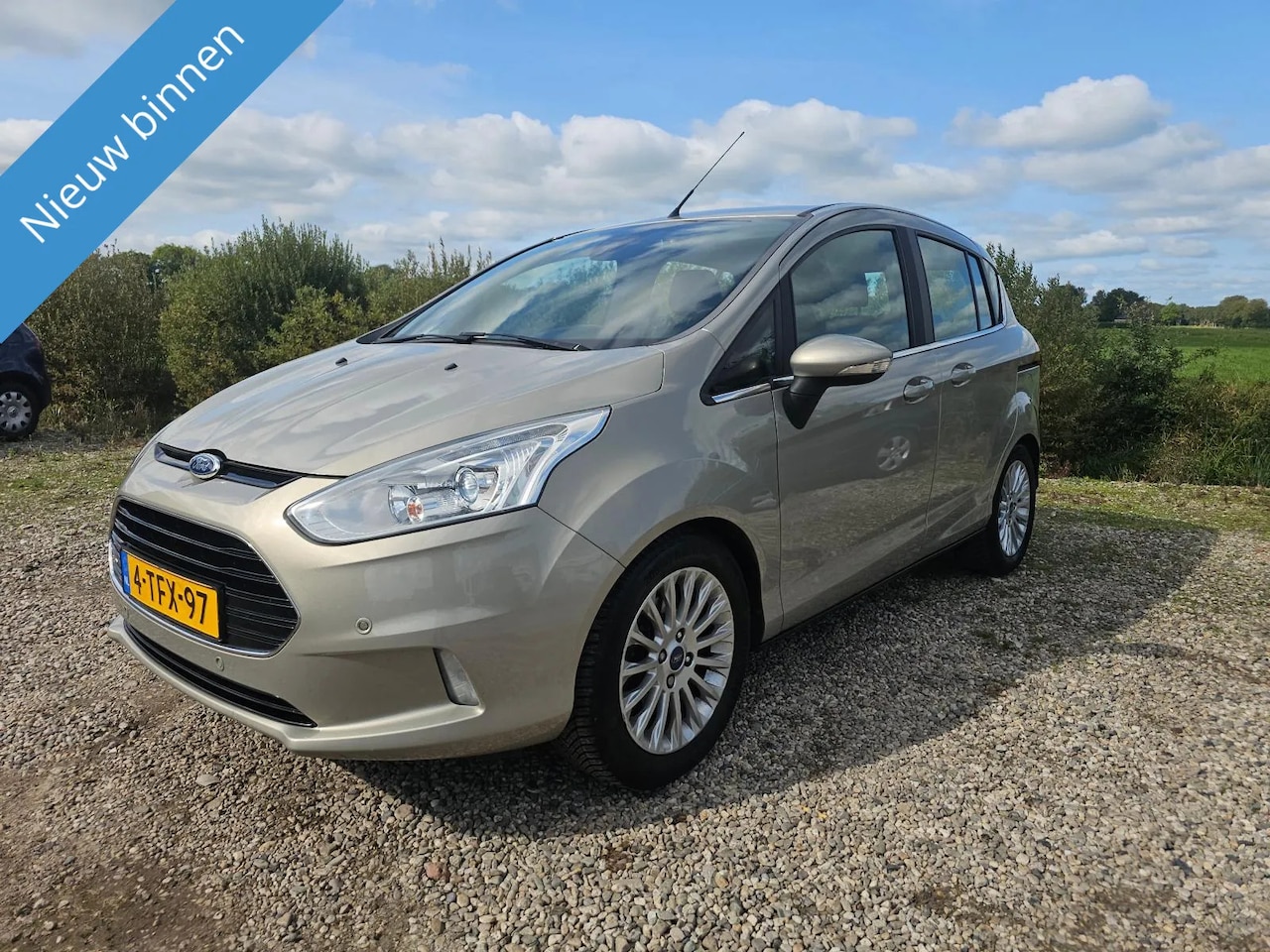 Ford B-Max - 1.0 EcoBoost Titanium 1.0 EcoBoost Titanium - AutoWereld.nl