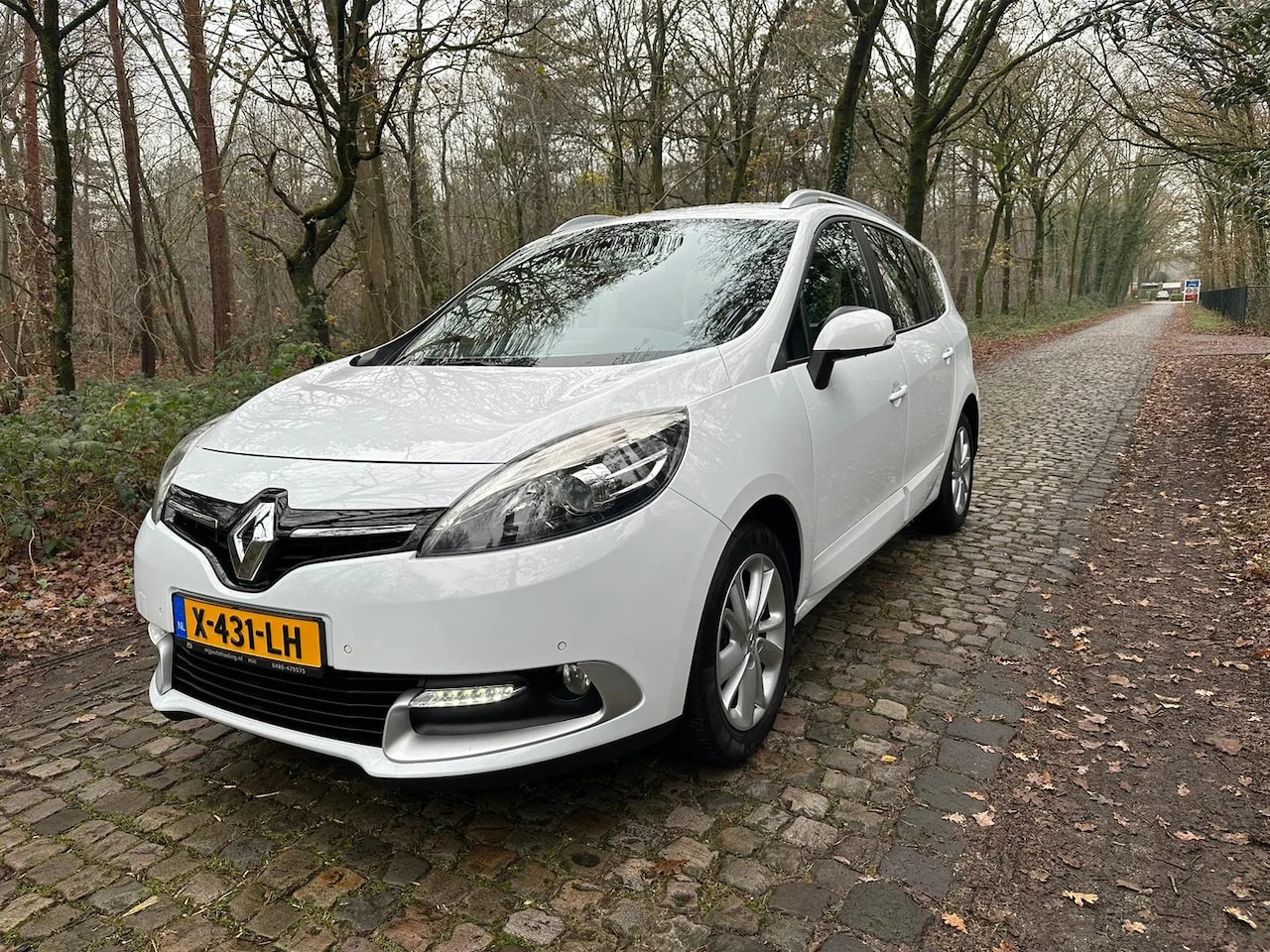 Renault Grand Scénic - 1.2 TCe Bose 7 persoons 79565 km - AutoWereld.nl