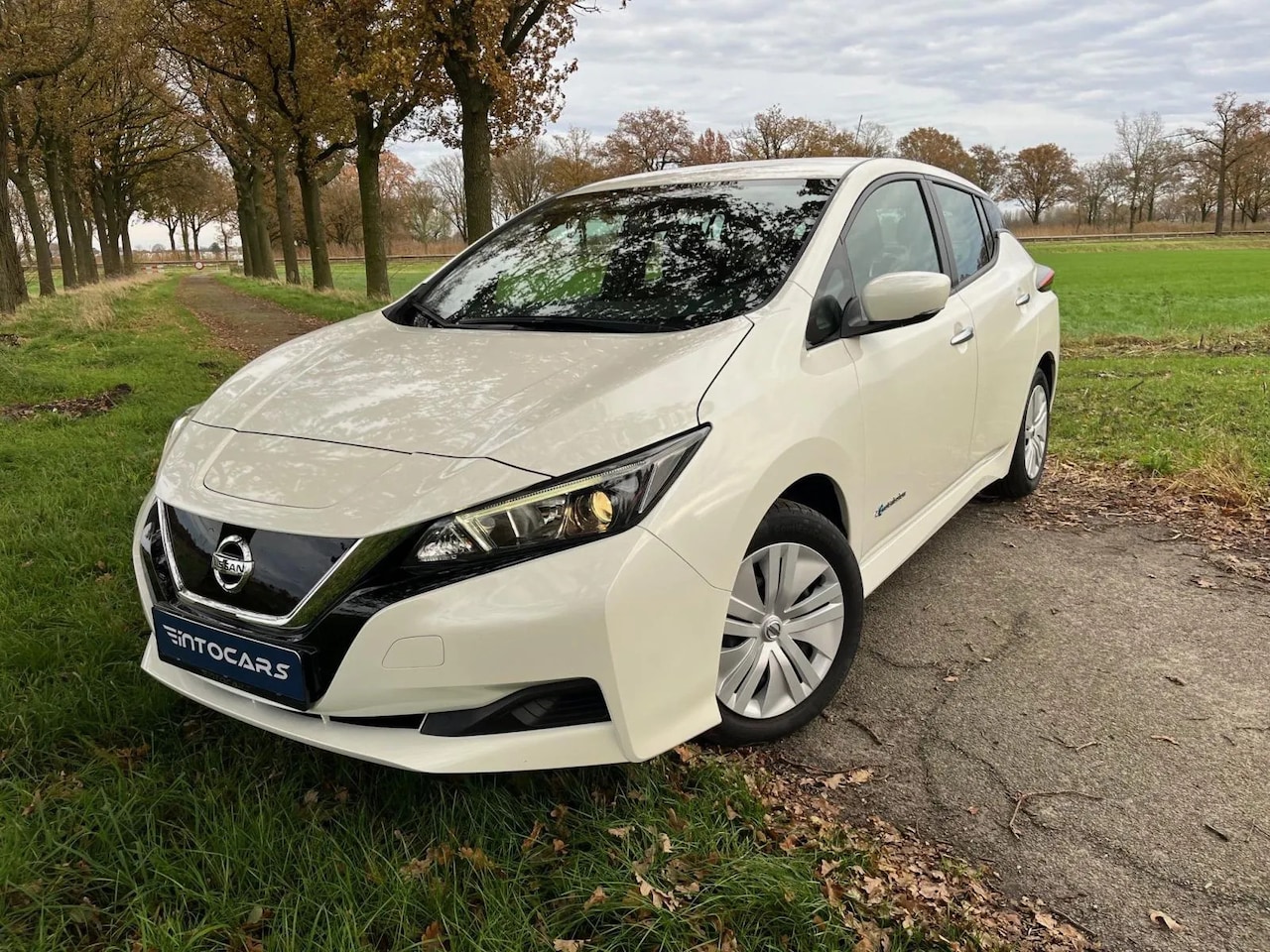 Nissan LEAF - Visia 40 kWh Visia 40 kWh - AutoWereld.nl