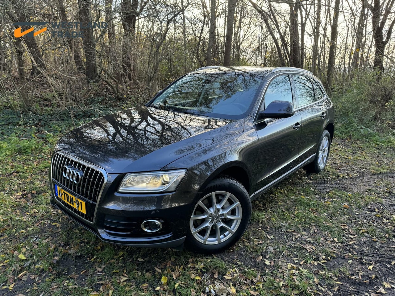 Audi Q5 - 2.0 TFSI quattro Pro Line S 2.0 TFSI quattro Pro Line S vol opties - AutoWereld.nl