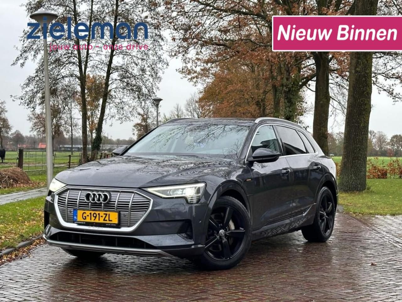 Audi e-tron - 50 quattro Launch edition 71 kWh - AutoWereld.nl