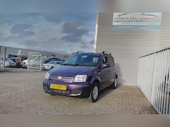 Fiat Panda - 1.2 Edizione Cool