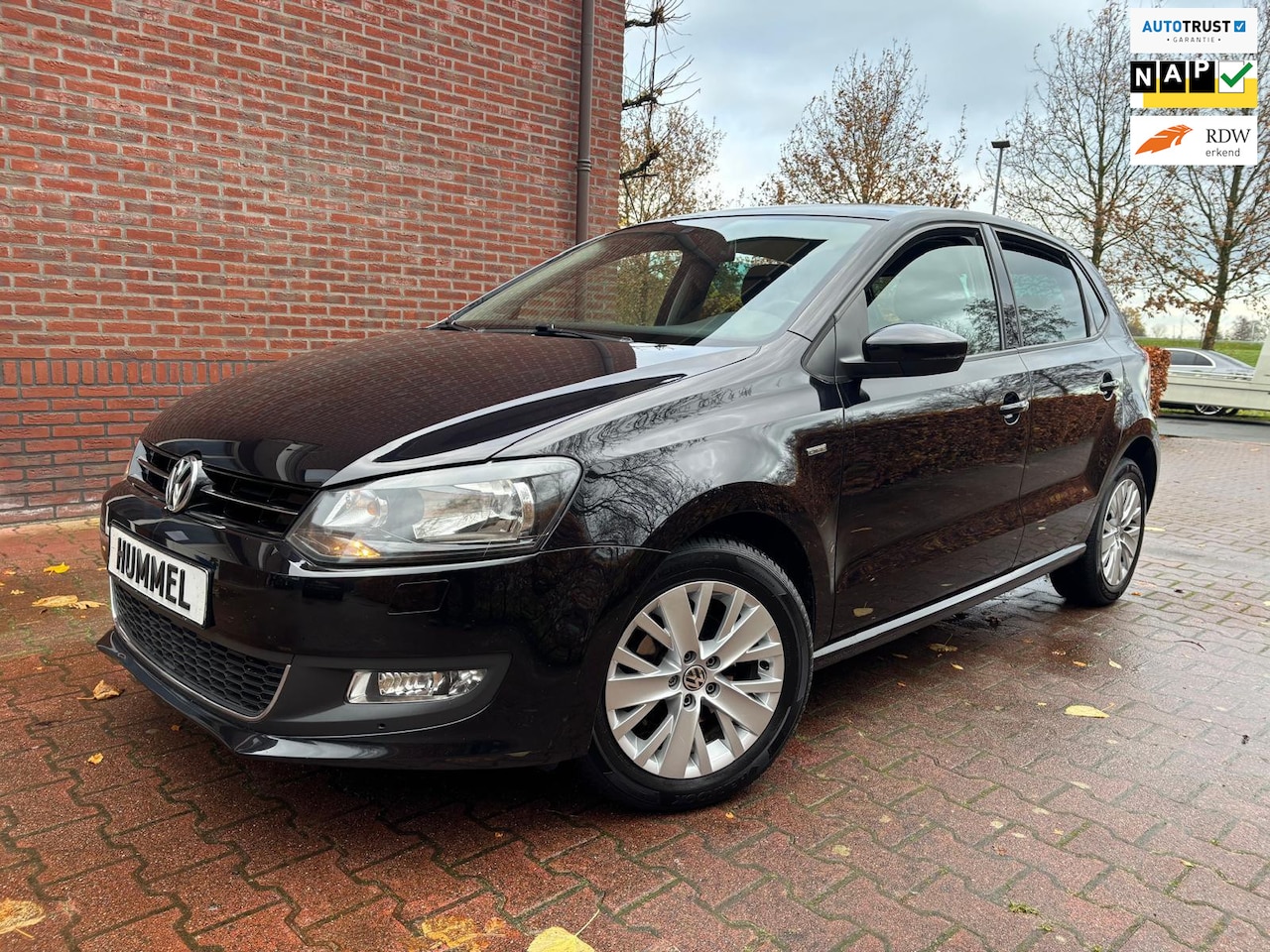 Volkswagen Polo - 1.2 Life uitvoering! Highline! - AutoWereld.nl