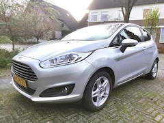 Ford Fiesta - 1.0 EcoBoost Titanium 101 PK, bijna alle opties.