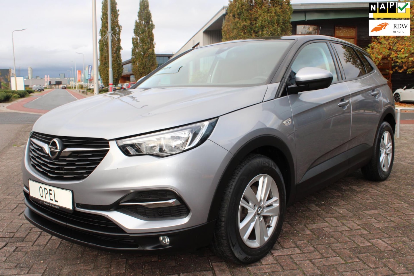 Opel Grandland X - Selective Cruise Controle Parkeersensoren 39287 Kilometer - AutoWereld.nl