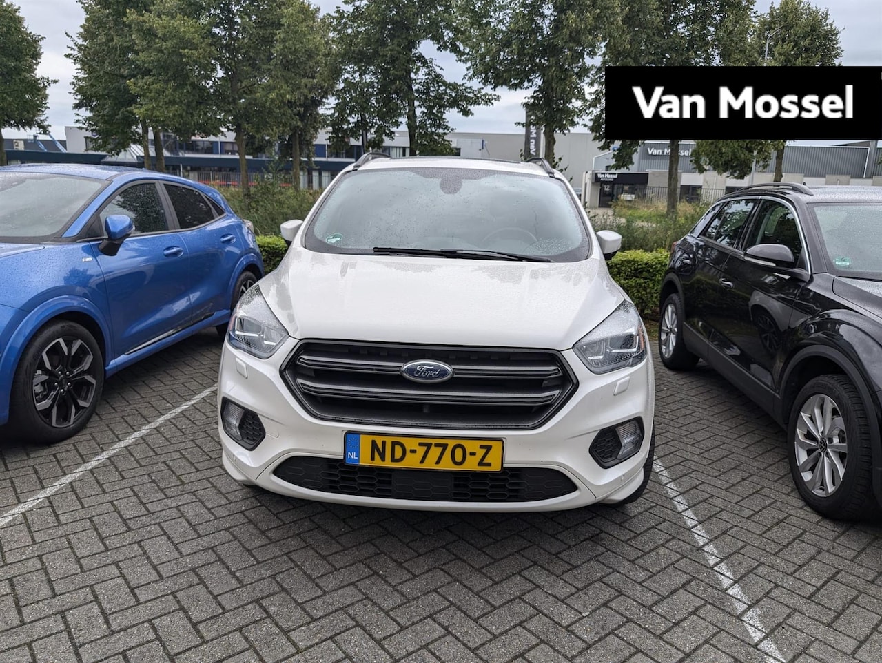 Ford Kuga - 1.5 EcoBoost ST Line | PANORAMADAK | TREKHAAK | VOORR. VERWARMING | DEALER OH | - AutoWereld.nl