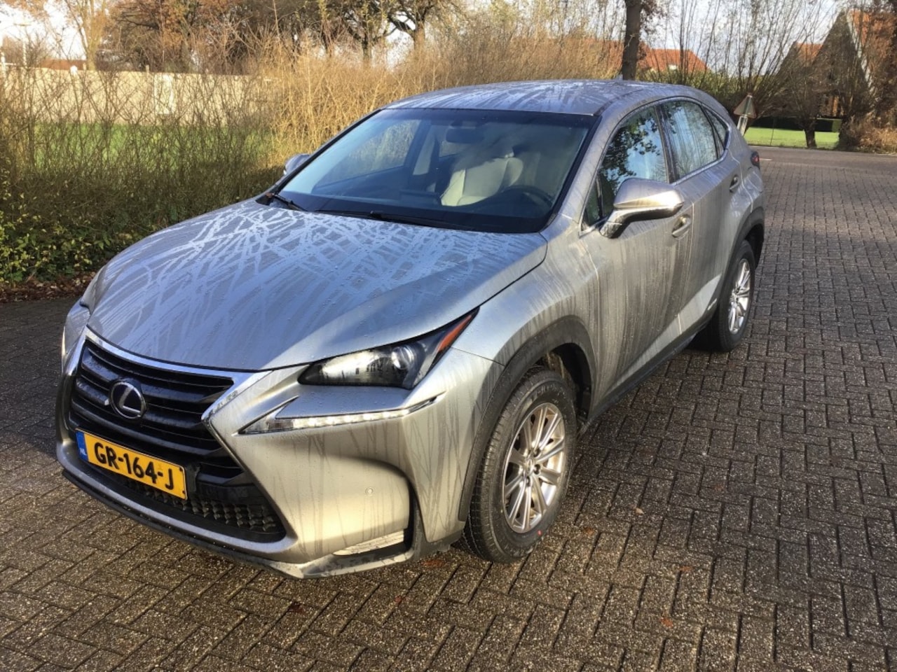 Lexus NX - 300h 300H - AutoWereld.nl