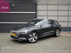 Audi e-tron - e-tron 55 quattro advanced 95 kWh PRO LINE S Vol opties NWprijs € 107.719,