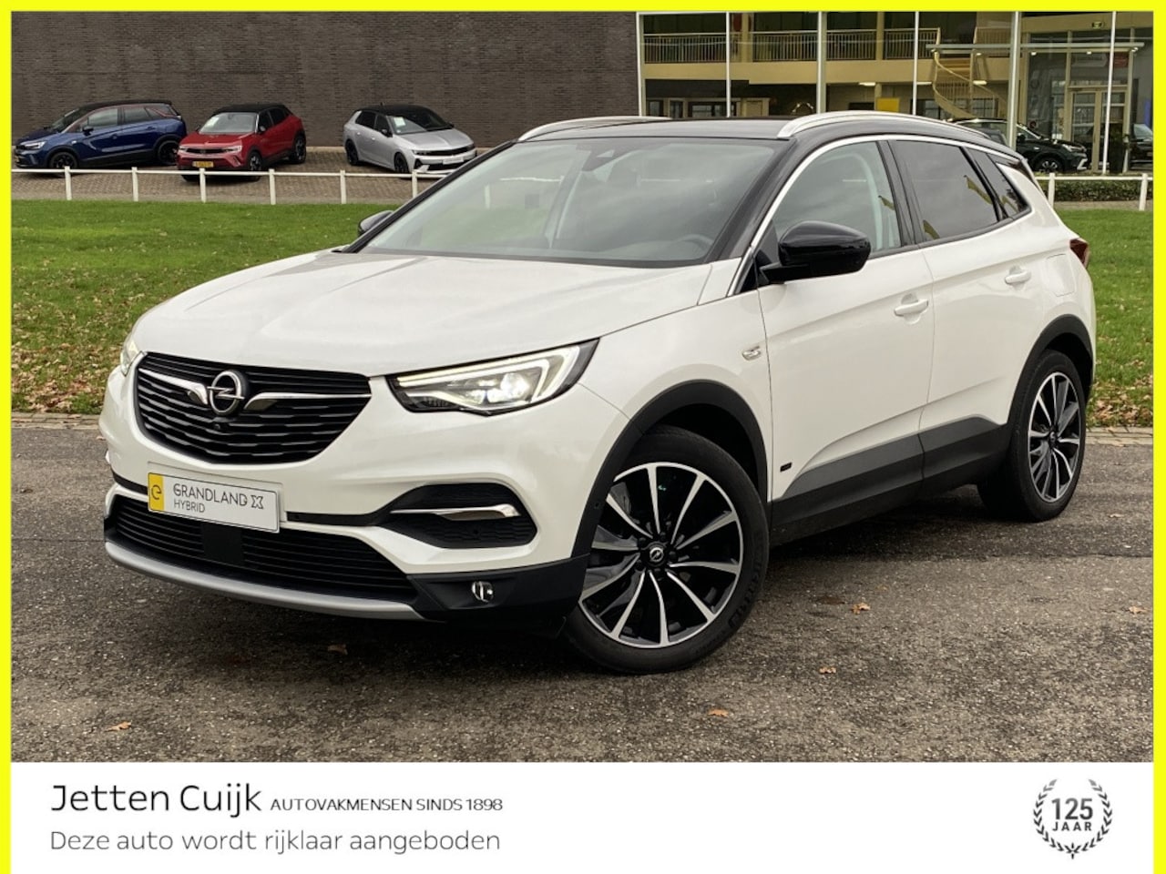 Opel Grandland X - 1.6 Turbo Hybrid #RIJKLAAR# | 360-camera | Keyless - AutoWereld.nl