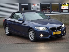 BMW 2-serie Cabrio - 220i EERSTE EIGENAAR