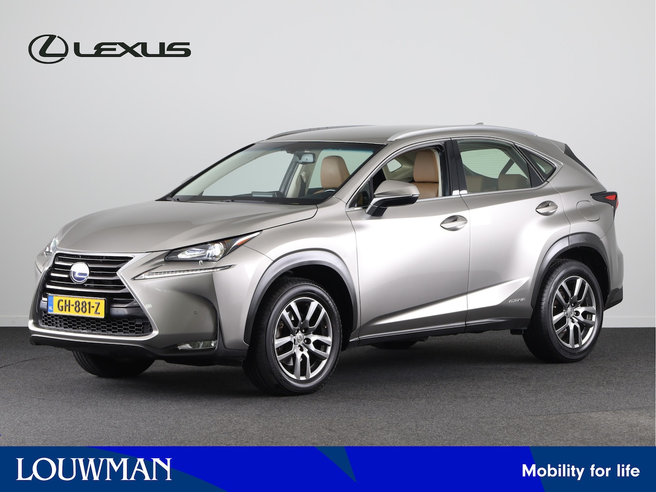 Lexus NX - 300h Business Line Pro | Leder | Navigatie | Camera | LM velgen | - AutoWereld.nl